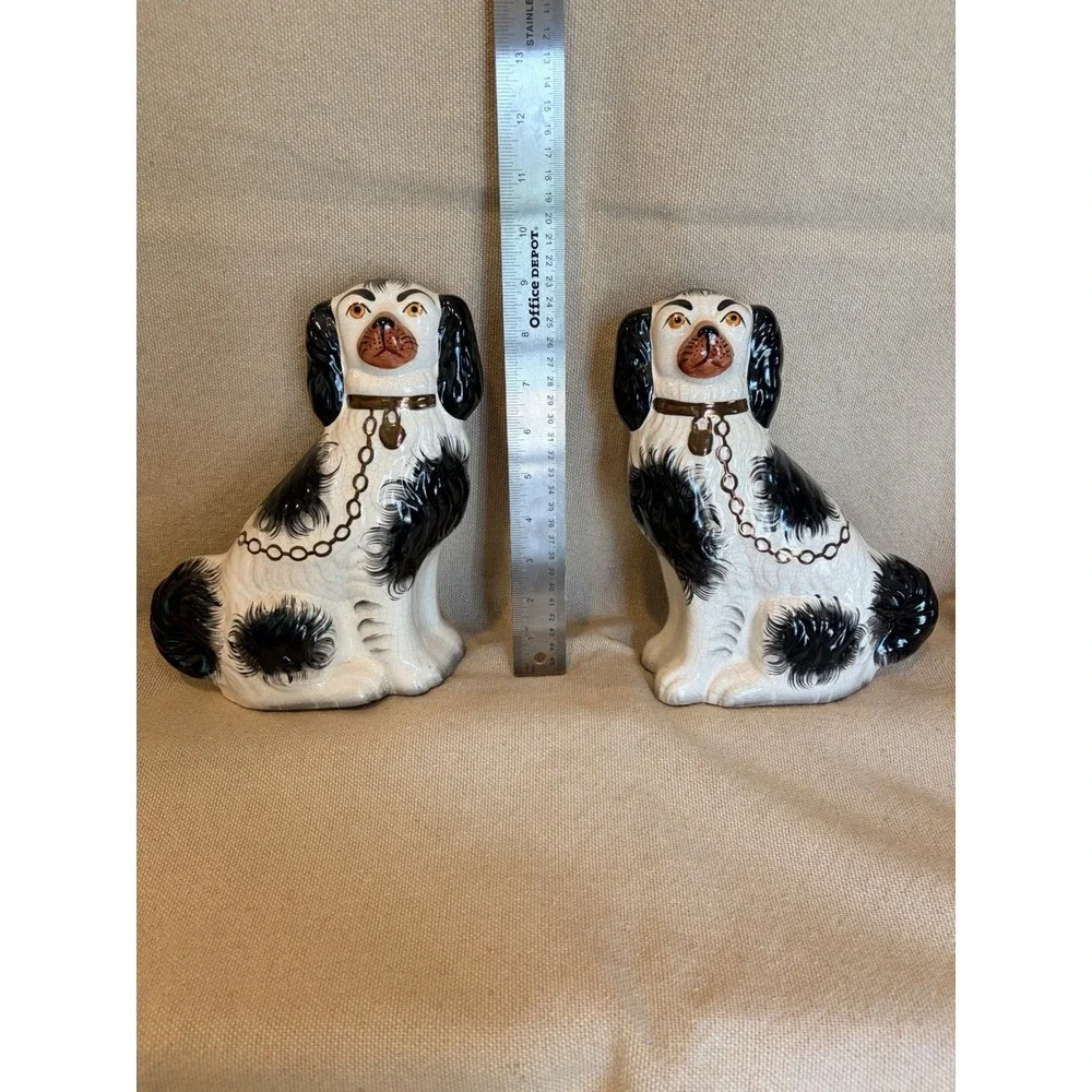 English Staffordshire King Charles Spaniel Dogs Black 9.5